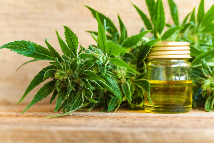 CBD Oil Drops For Pain & Sleep Sewanee 
      TN 37383
